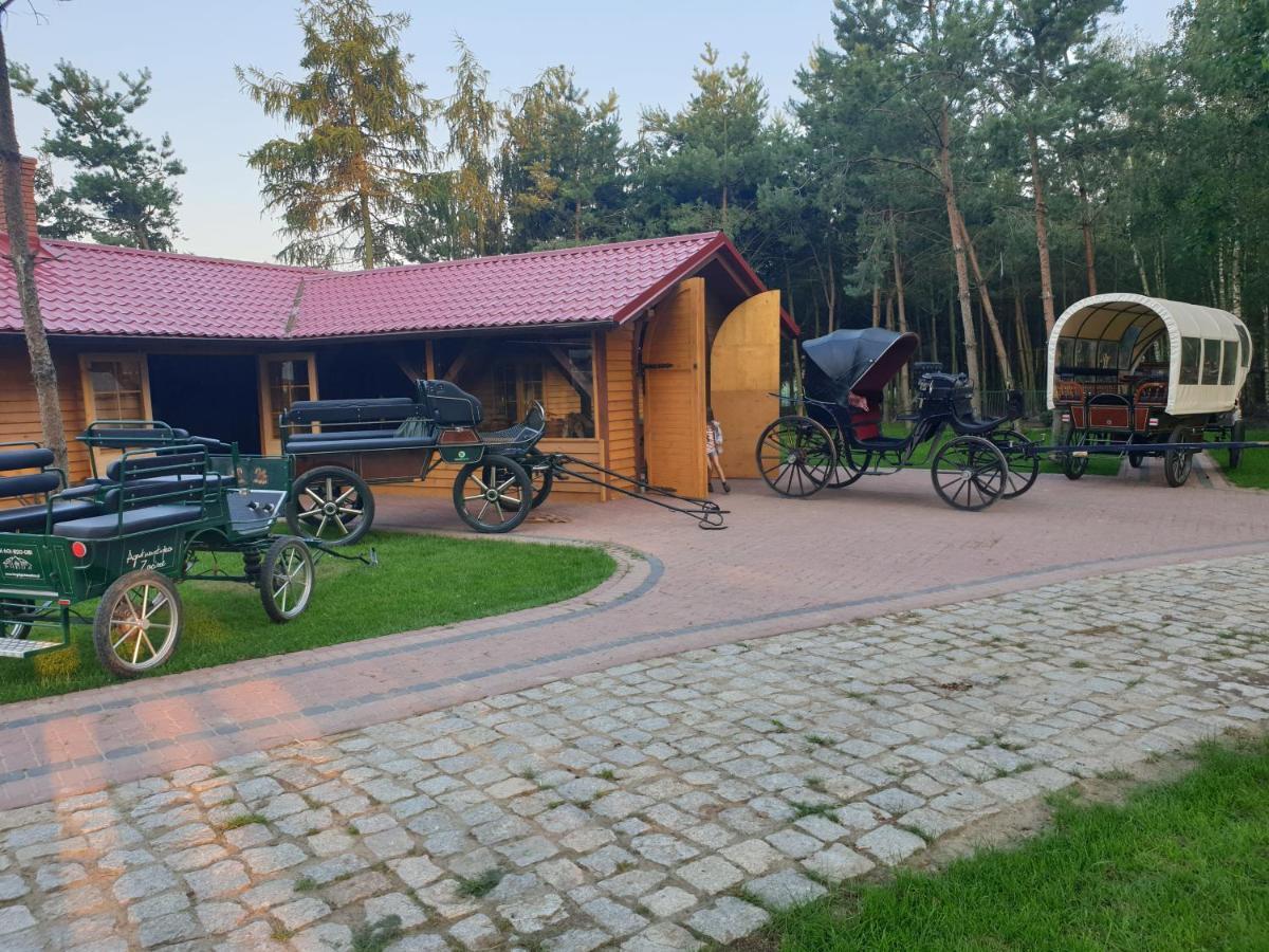 Osrodek Agroturystyczny Zacisze Giewartów Exterior foto