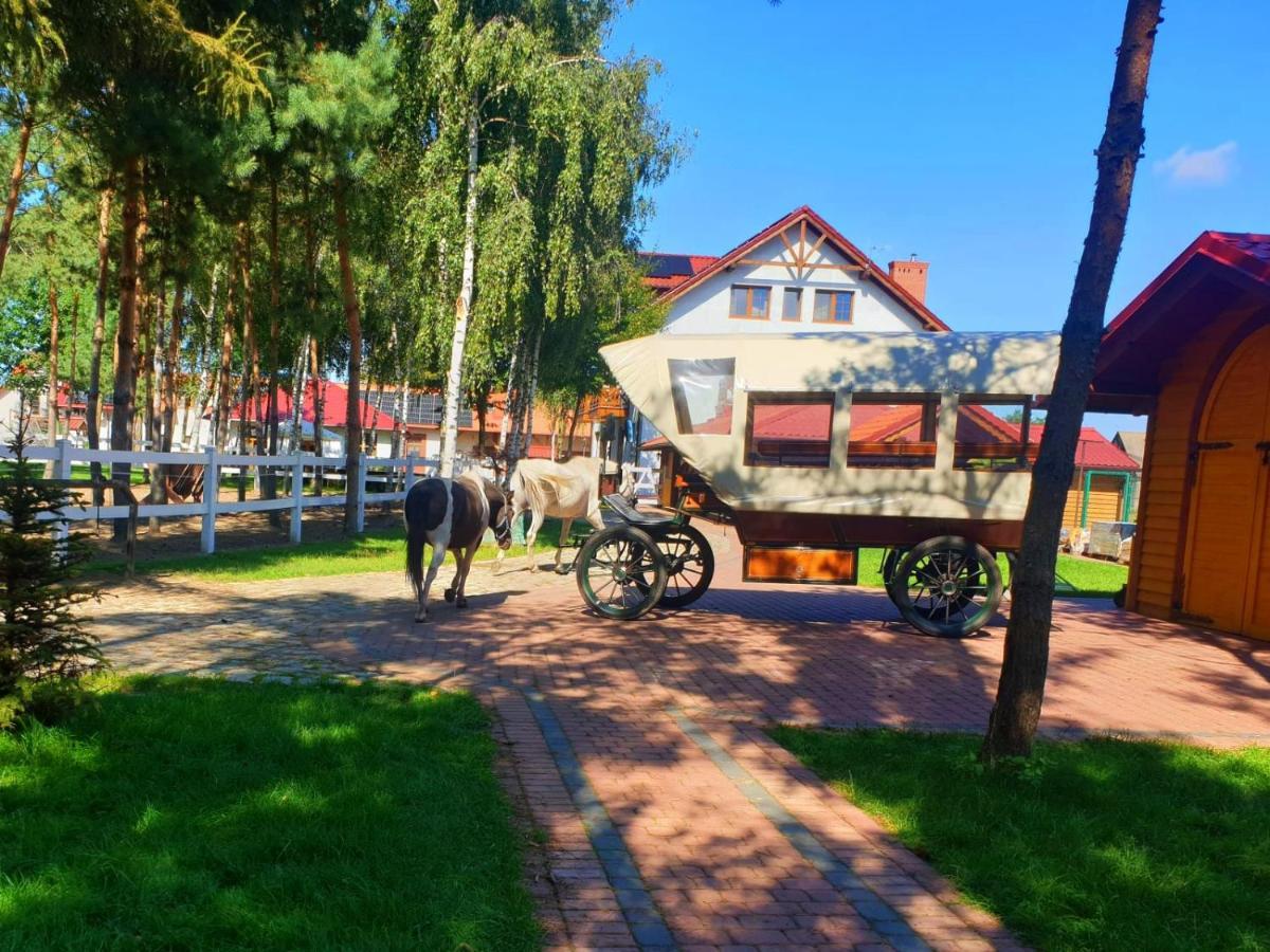 Osrodek Agroturystyczny Zacisze Giewartów Exterior foto