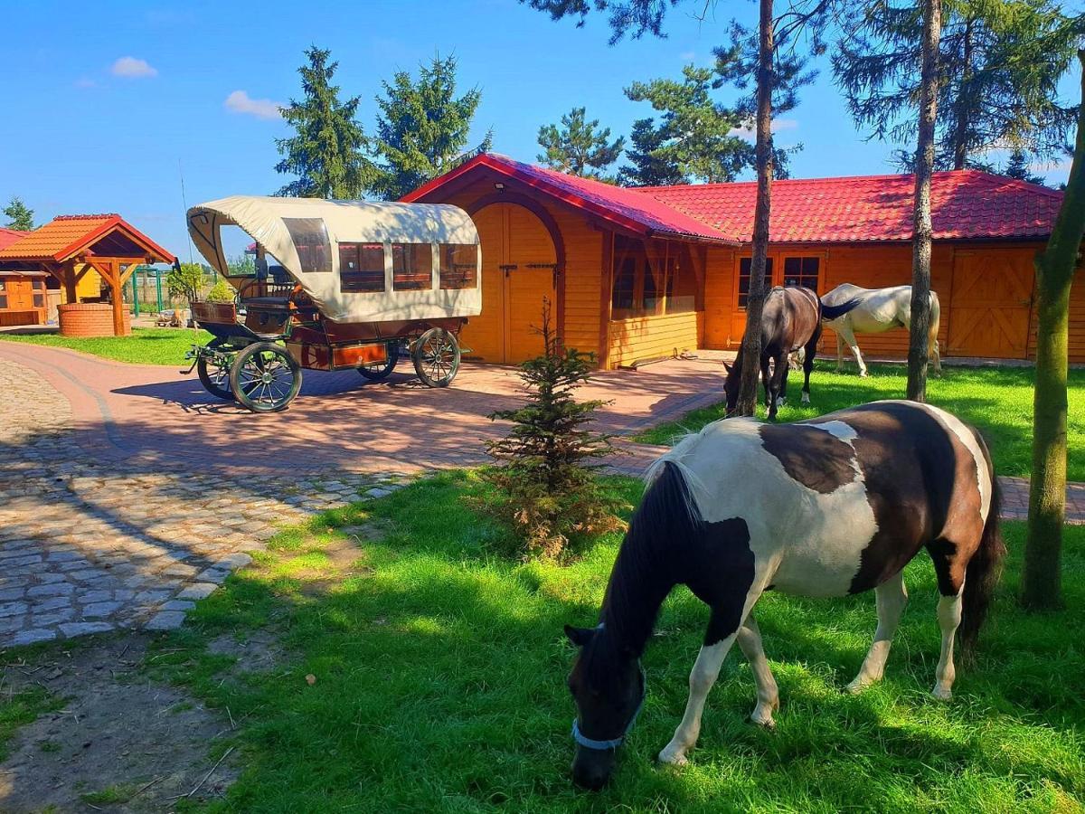 Osrodek Agroturystyczny Zacisze Giewartów Exterior foto